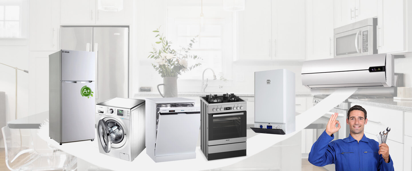 Perşembe Warmhaus Servisi